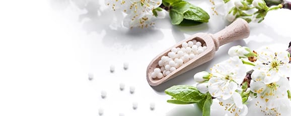 Book Appointment Now